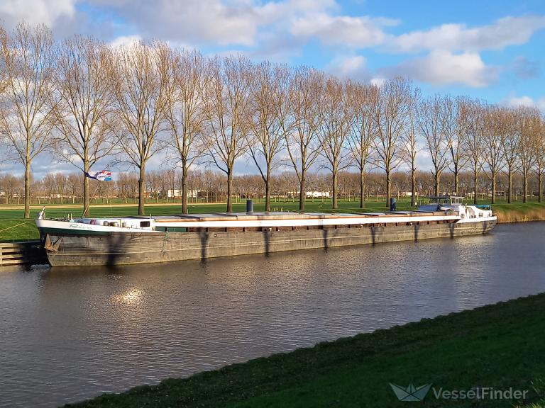 RIVA