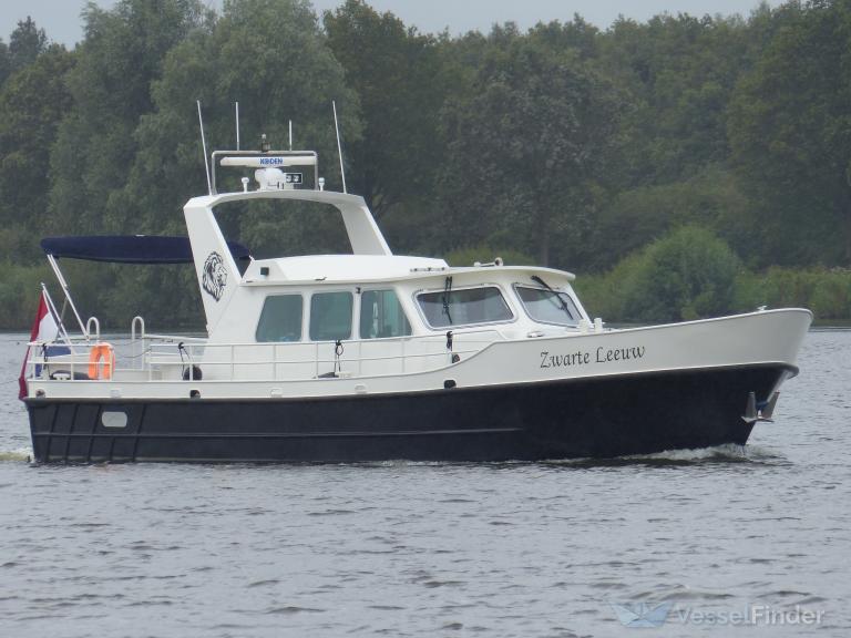 ZWARTE LEEUW photo