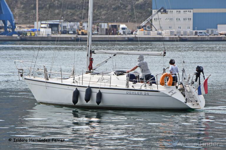 DUCKS AND DRAKES photo