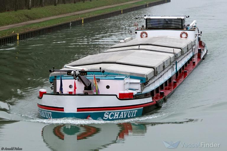 SCHAVUIT photo
