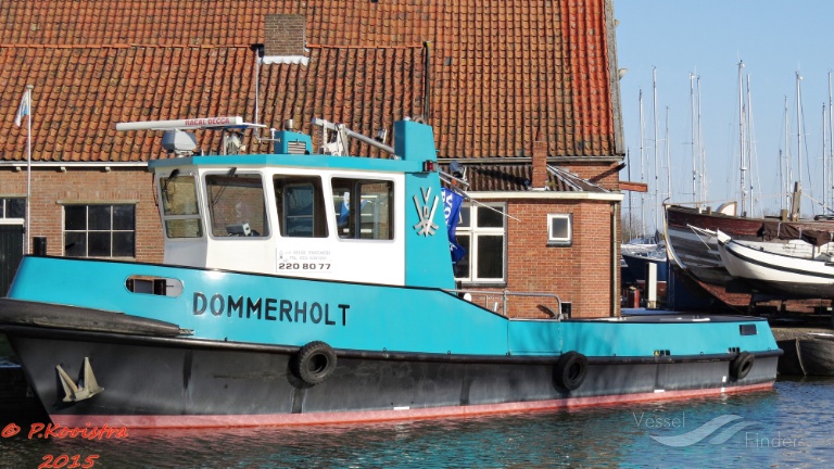 DOMMERHOLT photo