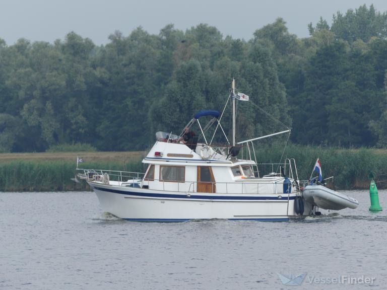 ZWAARDVIS