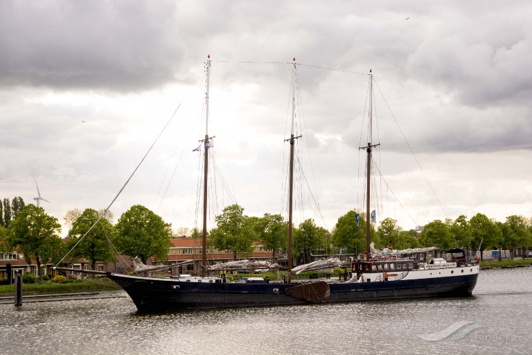 MARE FAN FRYSLAN photo