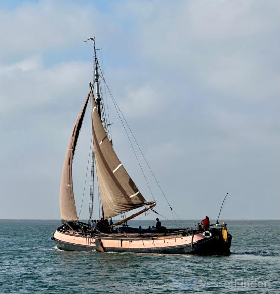 BRUINVISCH photo