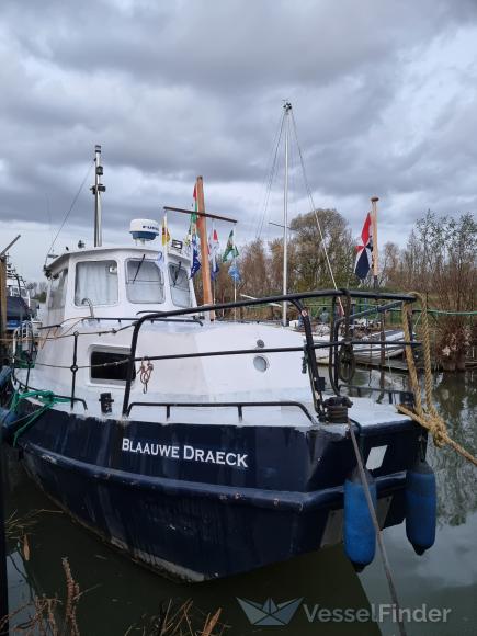 BLAAUWE DRAECK photo