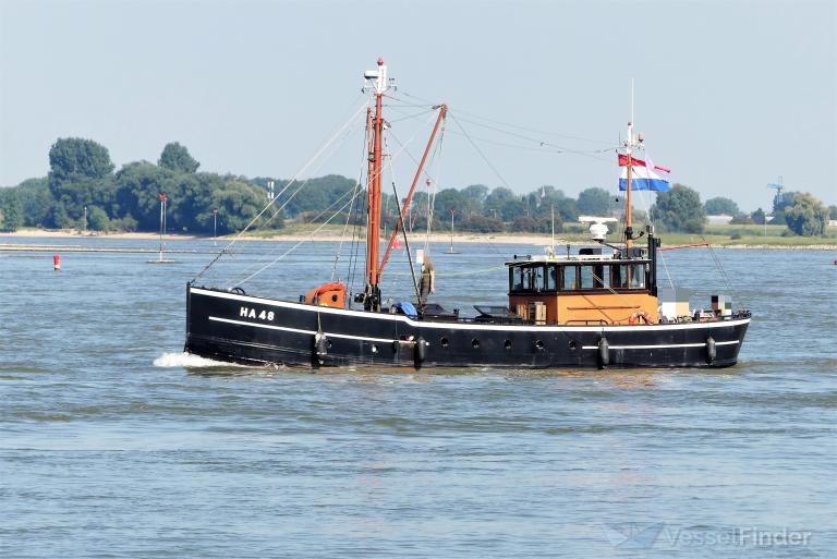 HARLINGEN-48 photo