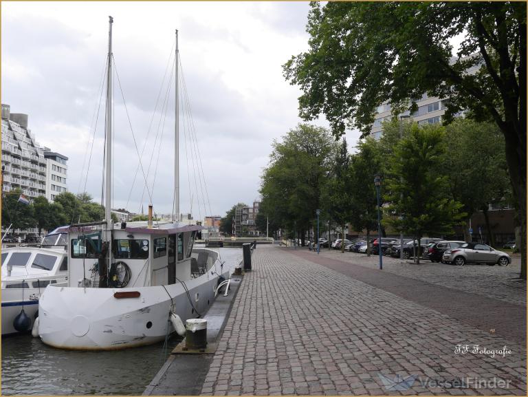 DE PERELIJN photo