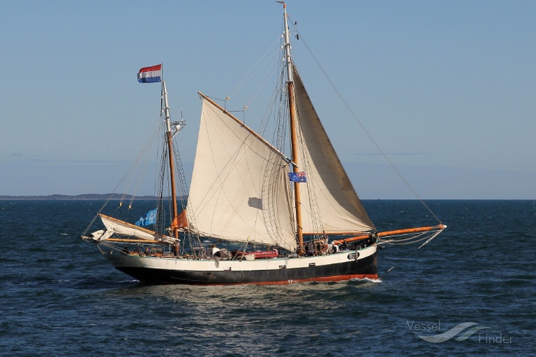 TECLA photo