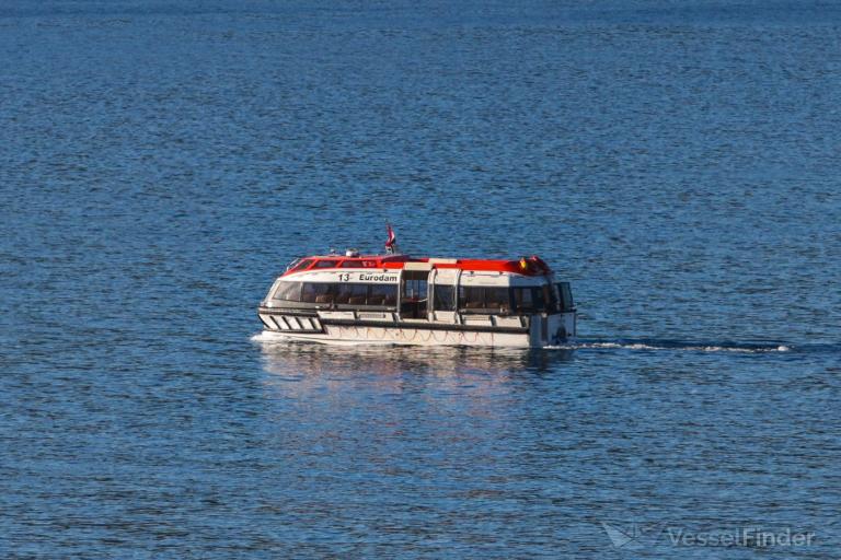 T13 EURODAM photo