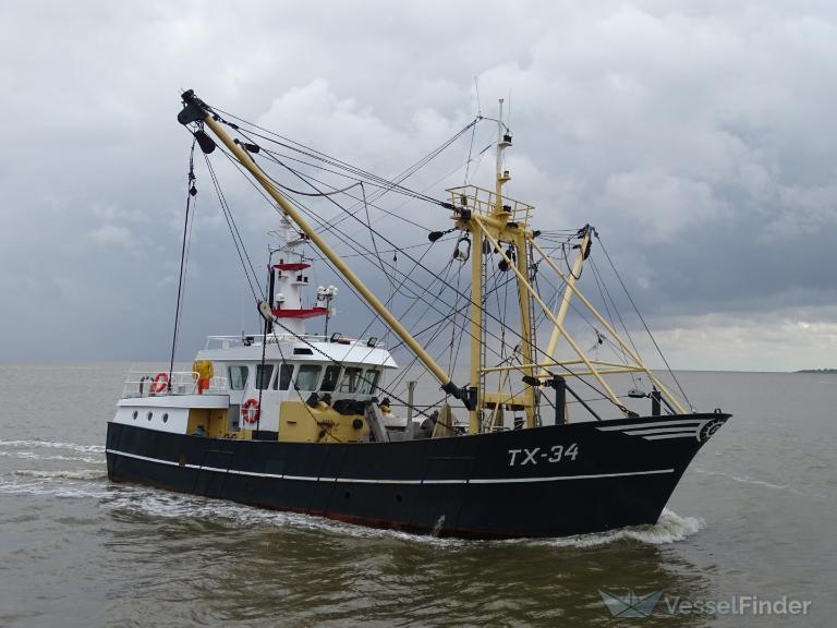 TX34 SOLA GRATIA photo