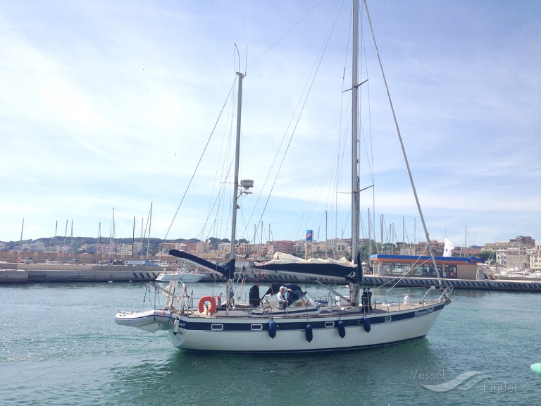 TULIPANO III photo
