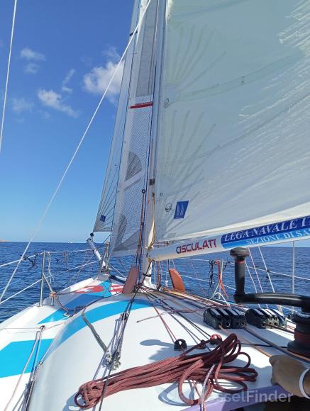PURPLE HAZE SOLOSAIL photo