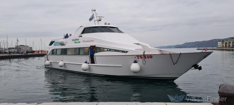 DELFINO VERDE AS photo