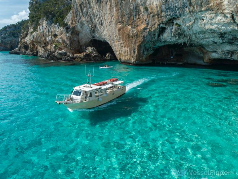 MARGHERITA photo