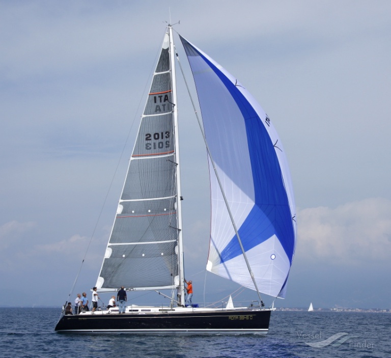 MY FIN photo