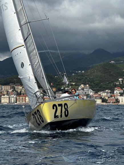 TROPIC BANANA SOLO photo