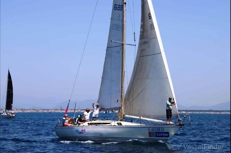 COCCODRILLO MIZAR photo