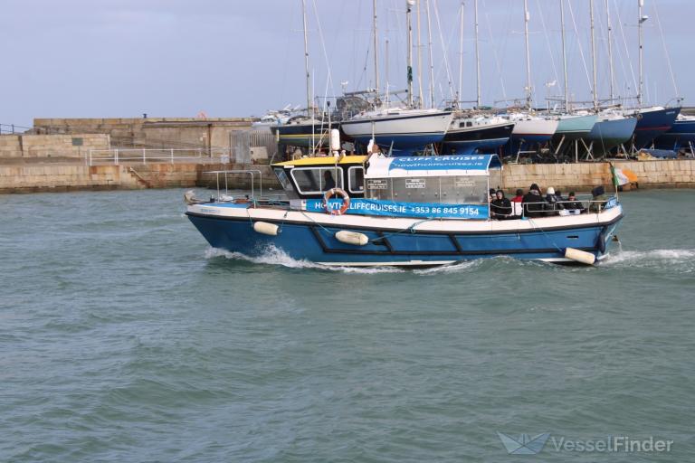 DOLPHIN DISCOVERY photo