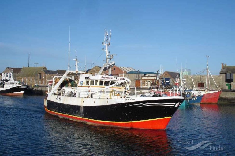 FRAGRANT CLOUD photo