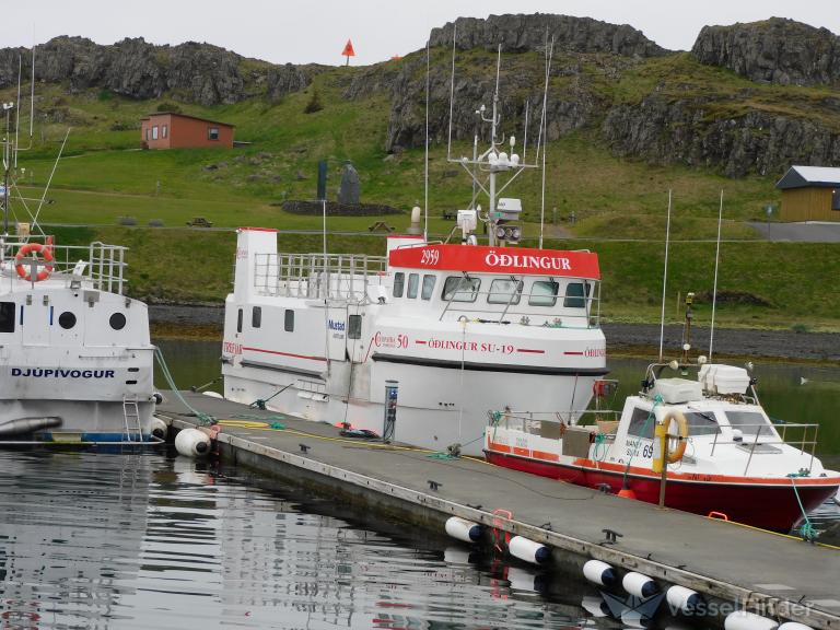 OEDLINGUR SU19 photo