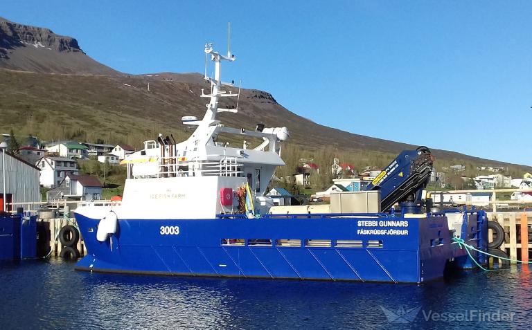 STEBBI GUNNARS photo