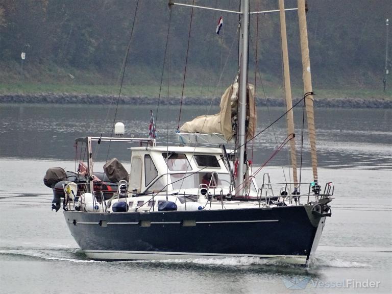 SAILING DREAM photo