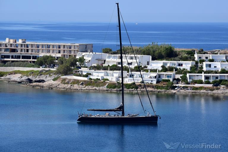 WOODPECKER CUBE photo