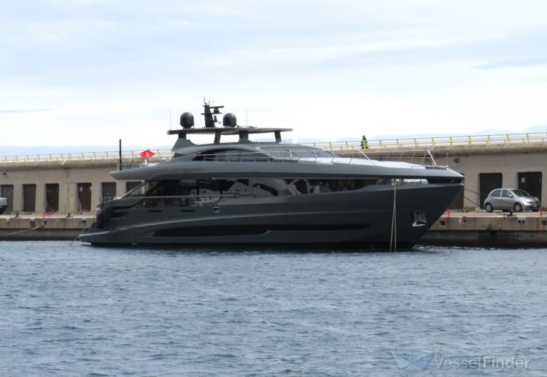 UNLEASH THE LION photo