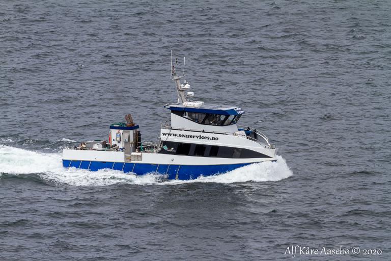 SCALLOP FIGHTER photo