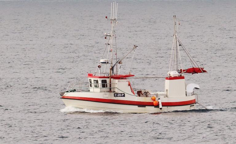 ALMA VALENTINA photo