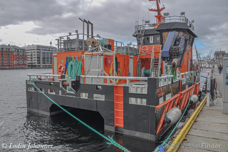 ARCTIC DIVE photo