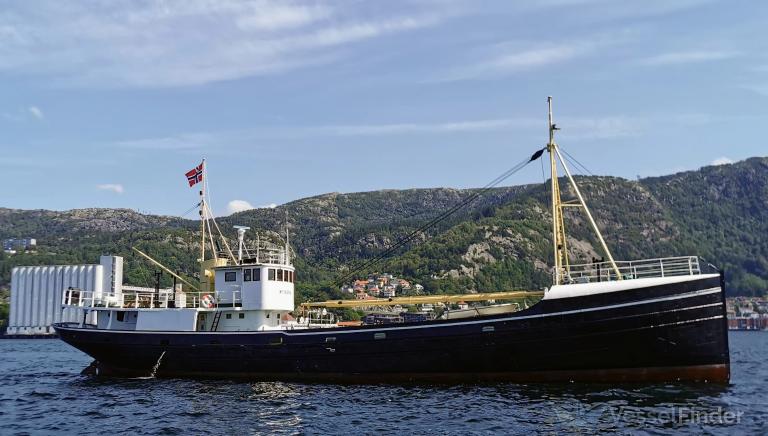 NYBORG photo