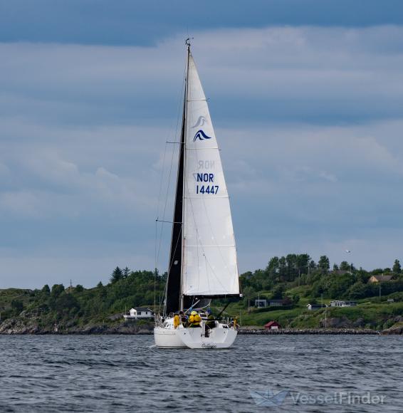 CALLUNA photo