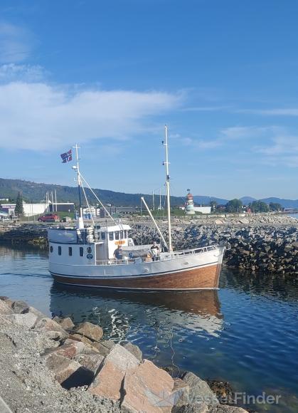 JOHAN A WIIK photo