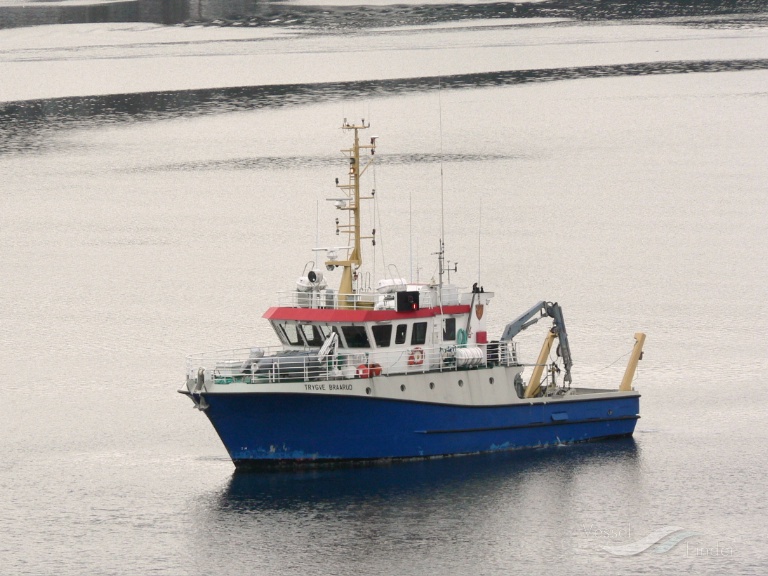 TRYGVE BRAARUD photo