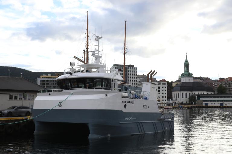 HALOY VIKINGSON photo