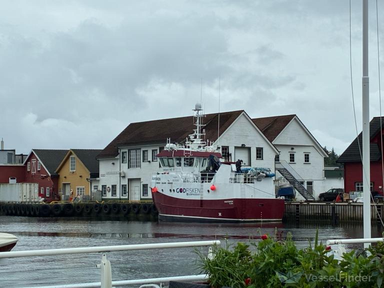 HAVFISKEN photo
