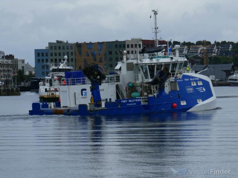 FROY VALKYRIEN photo