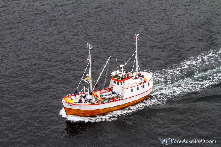 TUBAAEN photo