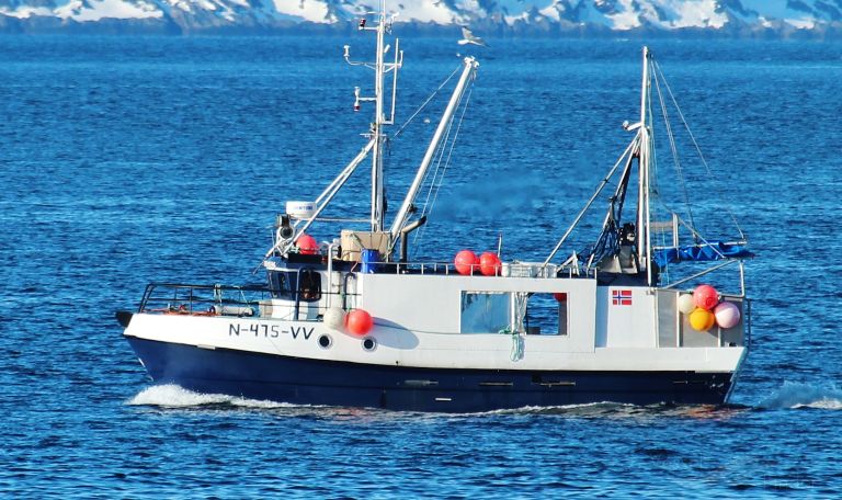 STORFJORDVAERING photo