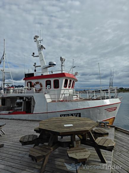 IVERSEN JUNIOR photo