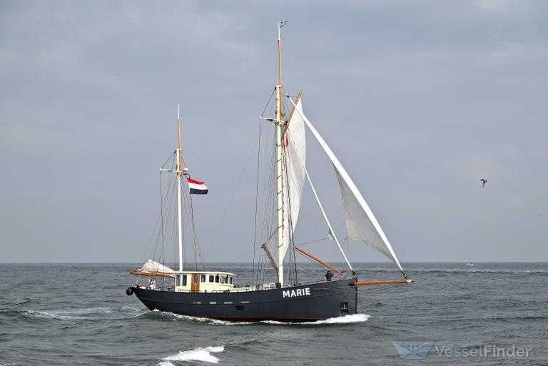 MARIE photo