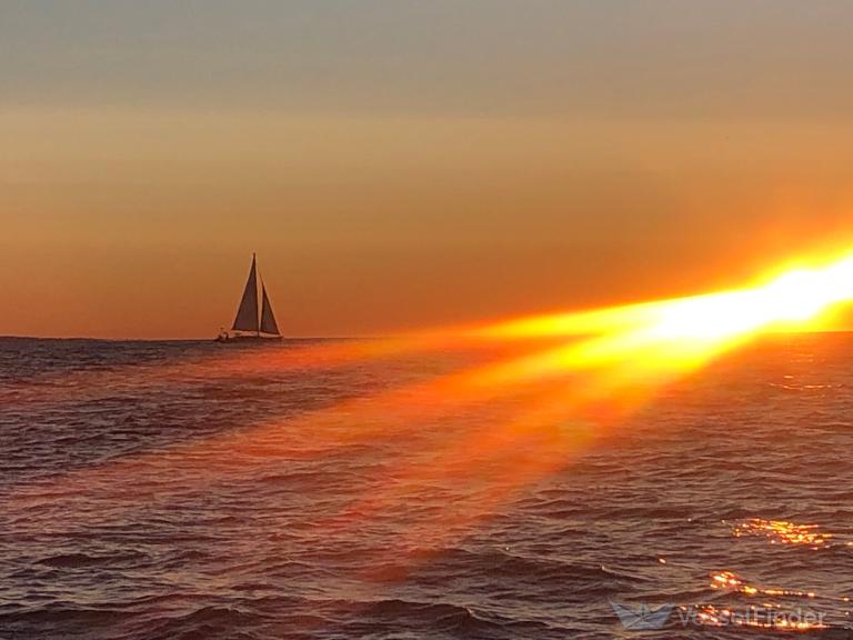 NEVER SAY NEVER photo