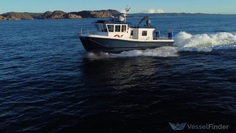 NEMO, Diving ops - Details and current position - MMSI 259037470 ...