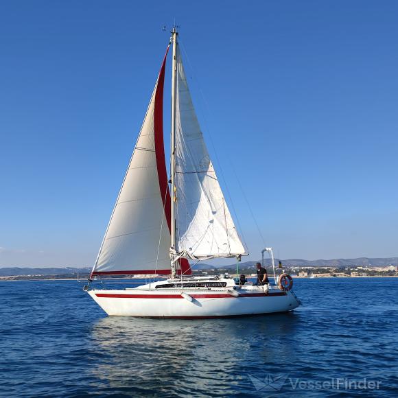 COCOLISO SOLOSAILOR photo