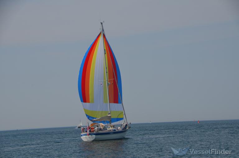 DELPHIN photo