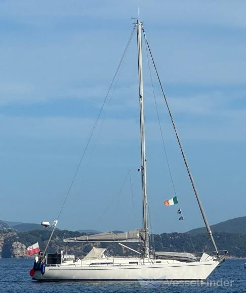 WILLIWAW photo