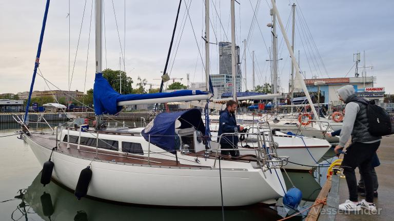 ALBATROS photo