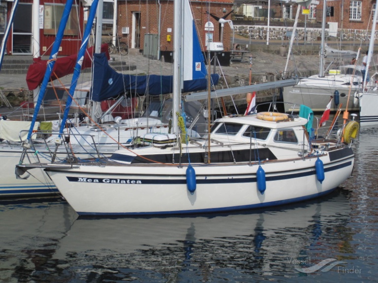 MEA GALATEA photo