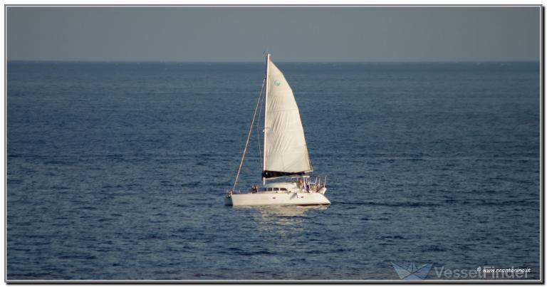 SEA COUGAR photo